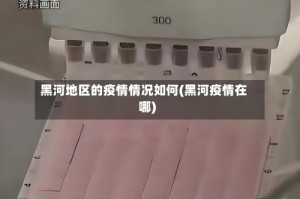 黑河地区的疫情情况如何(黑河疫情在哪)
