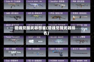 猎魂觉醒武器图鉴(猎魂觉醒武器排名)