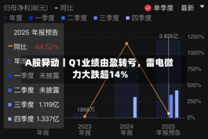 A股异动丨Q1业绩由盈转亏，雷电微力大跌超14%