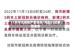 11月河北疫情严重地区/河北11日疫情通报