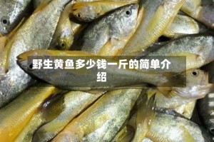 野生黄鱼多少钱一斤的简单介绍