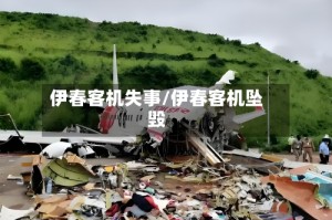 伊春客机失事/伊春客机坠毁
