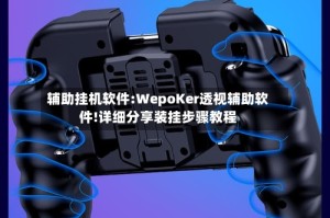 辅助挂机软件:WepoKer透视辅助软件!详细分享装挂步骤教程