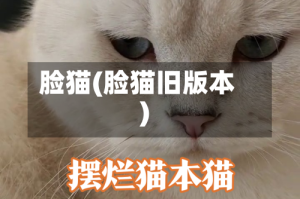 脸猫(脸猫旧版本)