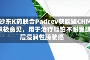默沙东K药联合Padcev获欧盟CHMP积极意见，用于治疗顺铂不耐受肌层浸润性膀胱癌