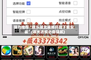 强力推荐“微乐湖北麻将开挂下载安装”(曝光透视必备猫腻)