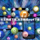 【社交网络下载,社交网络mp4下载】