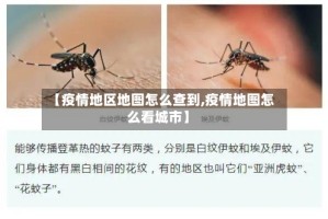 【疫情地区地图怎么查到,疫情地图怎么看城市】