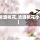 【清酒桃花,清酒桃花小说】