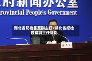 湖北省纪检各室副主任/湖北省纪检各室副主任级别