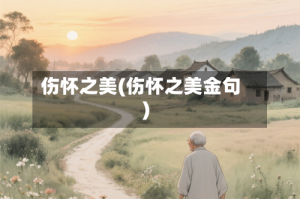 伤怀之美(伤怀之美金句)