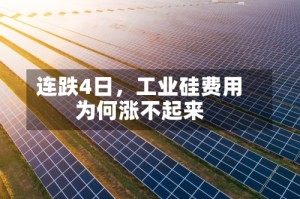 连跌4日，工业硅费用为何涨不起来