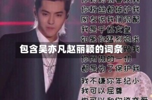 包含吴亦凡赵丽颖的词条