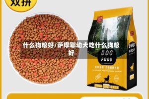 什么狗粮好/萨摩耶幼犬吃什么狗粮好