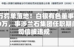 1510万罚单落地！白银有色董事长被罚140万，事涉兰石集团任职期间公司信披违规