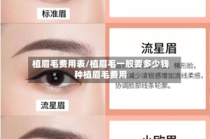 植眉毛费用表/植眉毛一般要多少钱种植眉毛费用