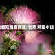 合卺欢免费阅读/合欢 网络小说