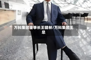 万科集团董事长王健林/万科集团王总