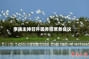 李强主持召开国务院常务会议