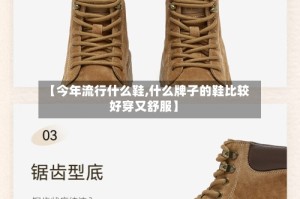 【今年流行什么鞋,什么牌子的鞋比较好穿又舒服】