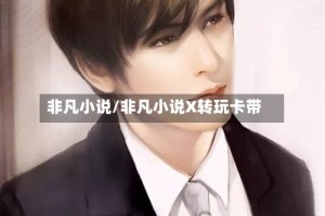 非凡小说/非凡小说X转玩卡带