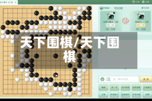 天下围棋/天下围棋