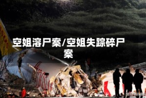 空姐溶尸案/空姐失踪碎尸案