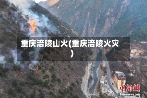 重庆涪陵山火(重庆涪陵火灾)