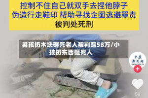 男孩扔木块砸死老人被判赔58万/小孩扔东西砸死人
