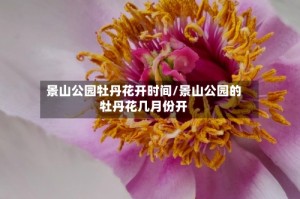 景山公园牡丹花开时间/景山公园的牡丹花几月份开