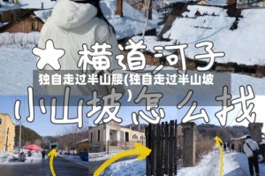 独自走过半山腰(独自走过半山坡)