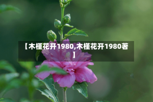 【木槿花开1980,木槿花开1980著】