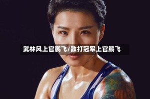 武林风上官鹏飞/散打冠军上官鹏飞
