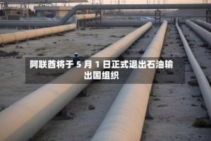 阿联酋将于 5 月 1 日正式退出石油输出国组织