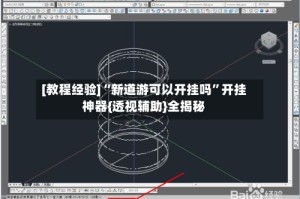 [教程经验]“新道游可以开挂吗”开挂神器{透视辅助}全揭秘