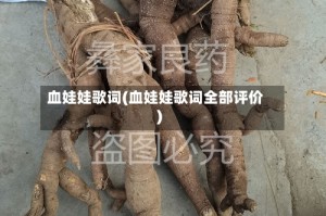 血娃娃歌词(血娃娃歌词全部评价)