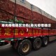 寿光疫情地区分布(寿光疫情确诊)