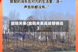 脆弱关系(脆弱关系高级替换词)