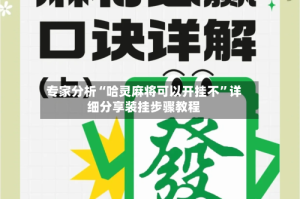 专家分析“哈灵麻将可以开挂不”详细分享装挂步骤教程