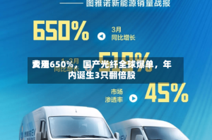 费用大涨650%，国产光纤全球爆单，年内诞生3只翻倍股