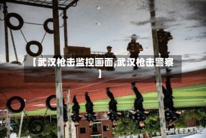 【武汉枪击监控画面,武汉枪击警察】