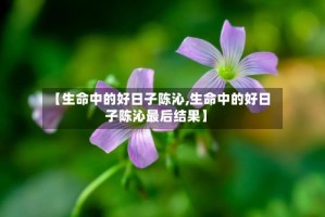 【生命中的好日子陈沁,生命中的好日子陈沁最后结果】