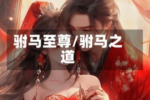 驸马至尊/驸马之道