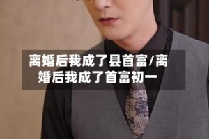 离婚后我成了县首富/离婚后我成了首富初一