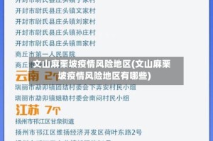 文山麻栗坡疫情风险地区(文山麻栗坡疫情风险地区有哪些)