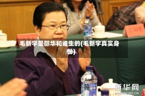 毛新宇是邵华和谁生的(毛新宇真实身份)