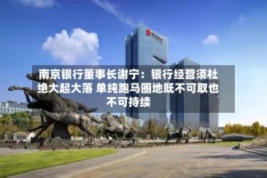 南京银行董事长谢宁：银行经营须杜绝大起大落 单纯跑马圈地既不可取也不可持续
