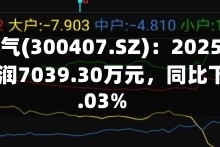 凯发电气(300407.SZ)：2025年归母净利润7039.30万元，同比下降25.03%