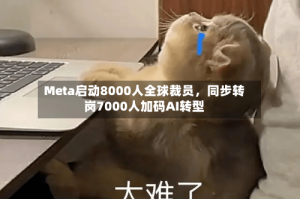 Meta启动8000人全球裁员，同步转岗7000人加码AI转型