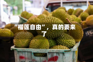 “榴莲自由”，真的要来了